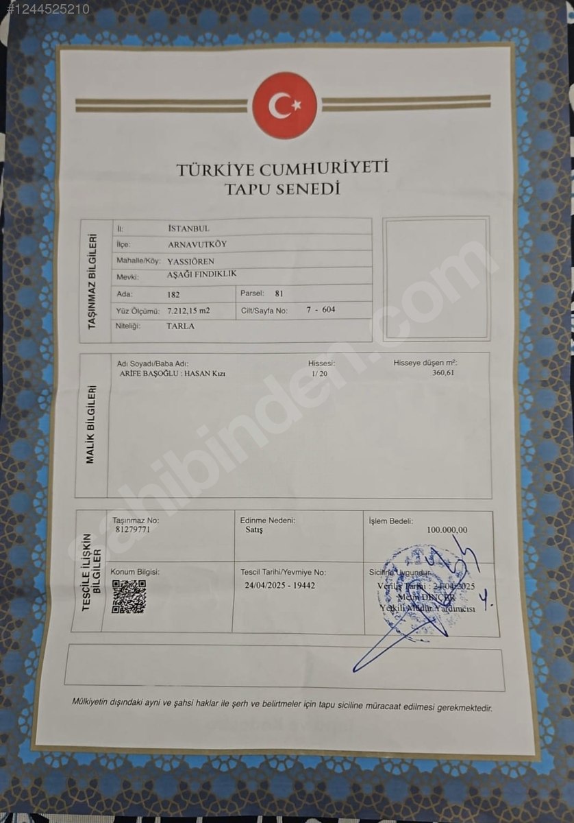 Fotoğraf
